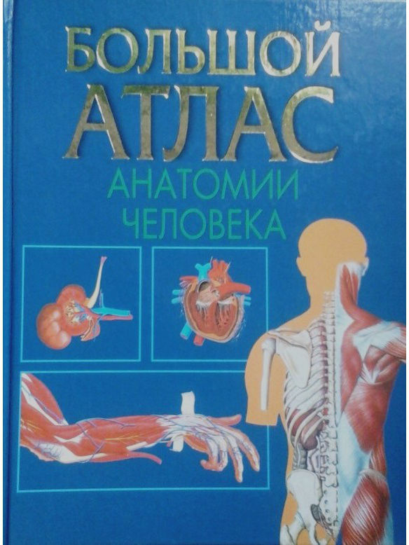 Атлас нормальной анатомии. Большой атлас анатомии человека Воробьев в.п. Атлас анатомии человека Воробьев в п. Атлас анатомия и физиология человека Билич. Воробьев "атлас анатомии человека" Медгиз 1963.