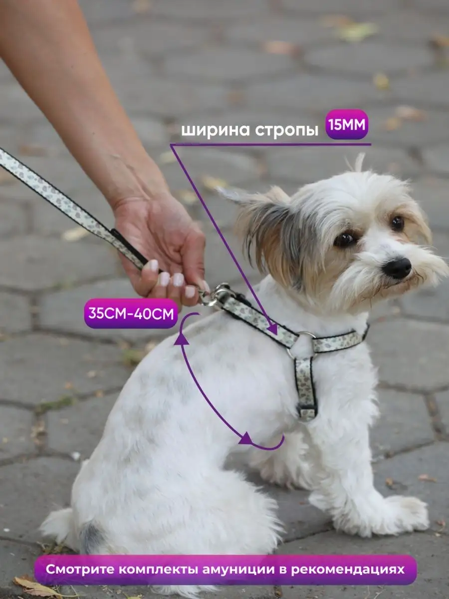 Шлейка для собаки своими руками: выкройки, процесс пошива