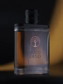 Духи мужские стойкие Woodland, 100 мл