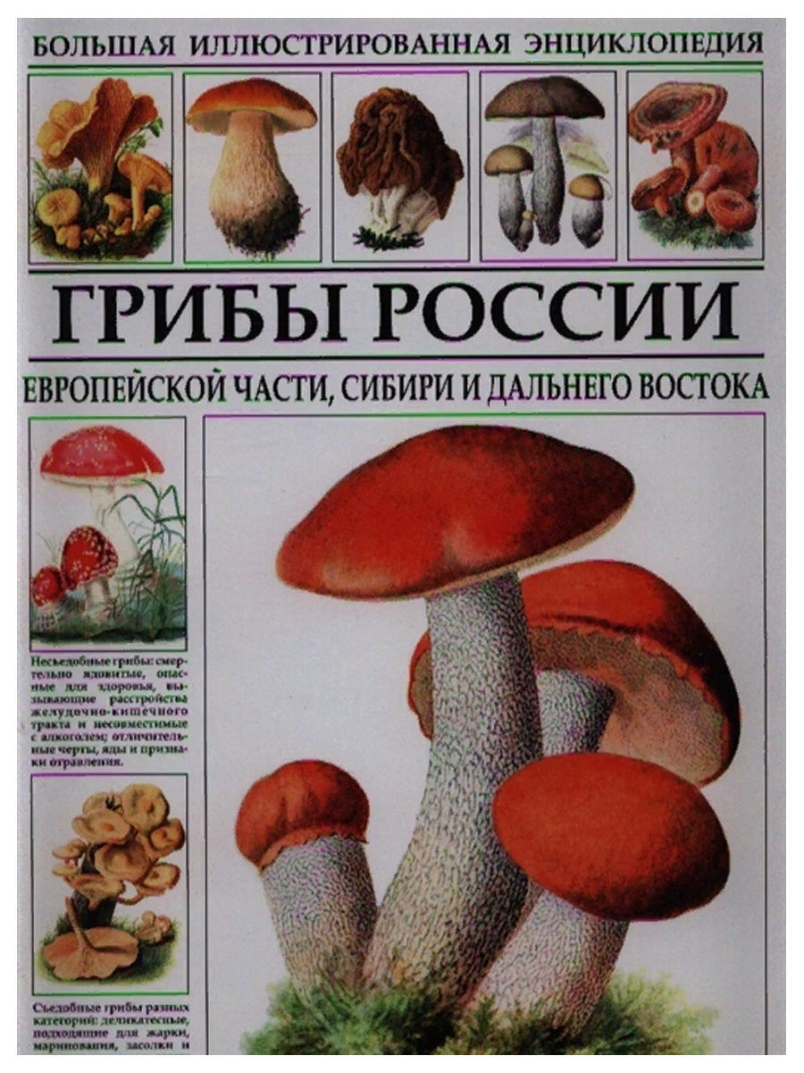 Большая иллюстрированная энциклопедия грибы России