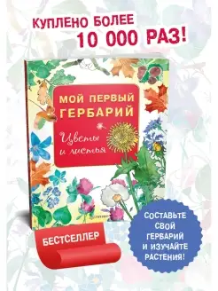 Мой первый гербарий