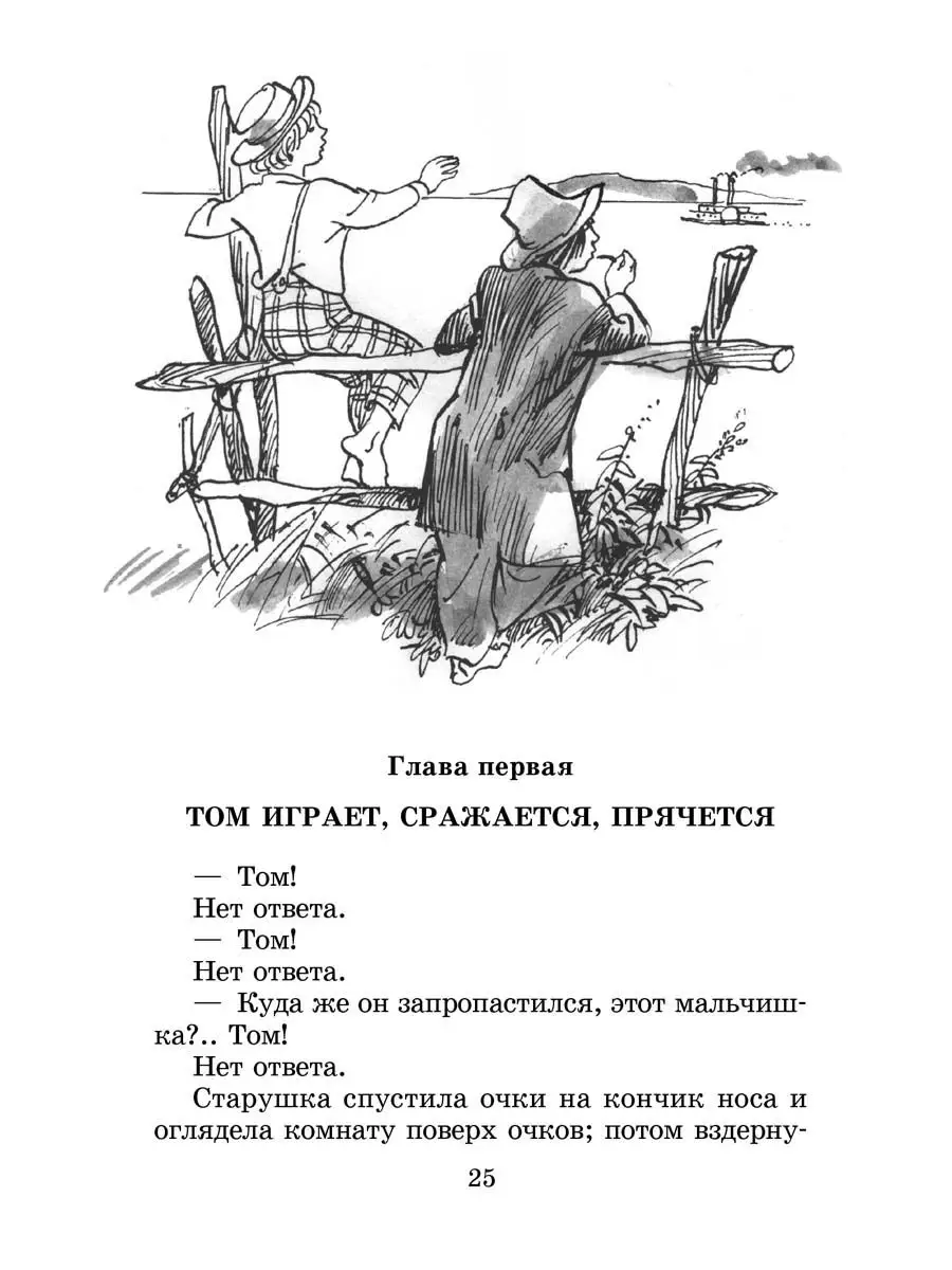 Пересказ пятой главы том сойер. Приключения Тома Сойера 1 глава. Приключения Тома 1 глава план. Том Сойер первая глава. План произведения приключения Тома Сойера.