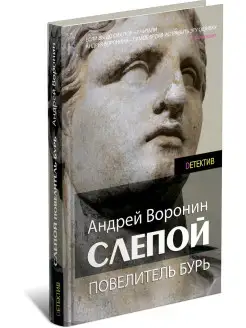 Книга Слепой. Повелитель бурь. Андрей Воронин