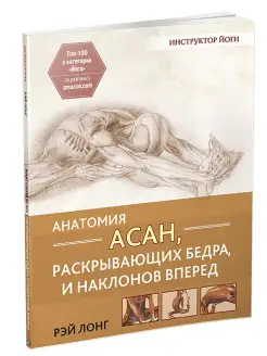 Анатомия асан, раскрывающих бедра