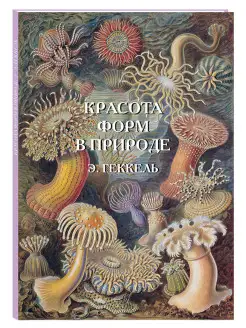 Красота форм в природе. Э. Геккель