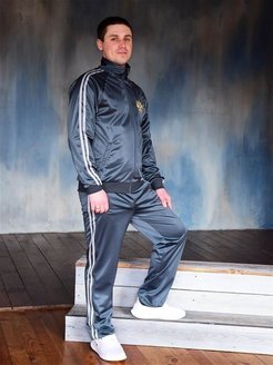 Спортивный костюм мужской на флисе домашний с начесом теплый Sportsolo 8173716 купить за 2 441 ₽ в интернет-магазине Wildberries