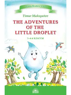 The Adventures of the Little Droplet