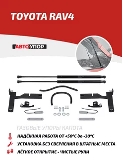 Газовые упоры капота для Toyota RAV4 CA40 2012-2019