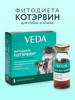 ФИТОДИЕТА КОТЭРВИН, 3 фл. по 10 мл бренд VEDA продавец Продавец № 36852