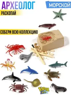 Археолог, Раскопки, Морские Животные, раскопай