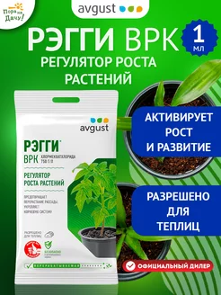 Регулятор роста растений Рэгги ВРК, 1 мл Август