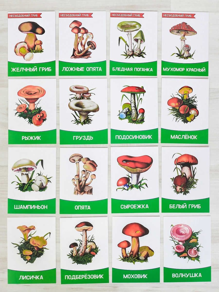 Карточки Домана грибы съедобные и несъедобные