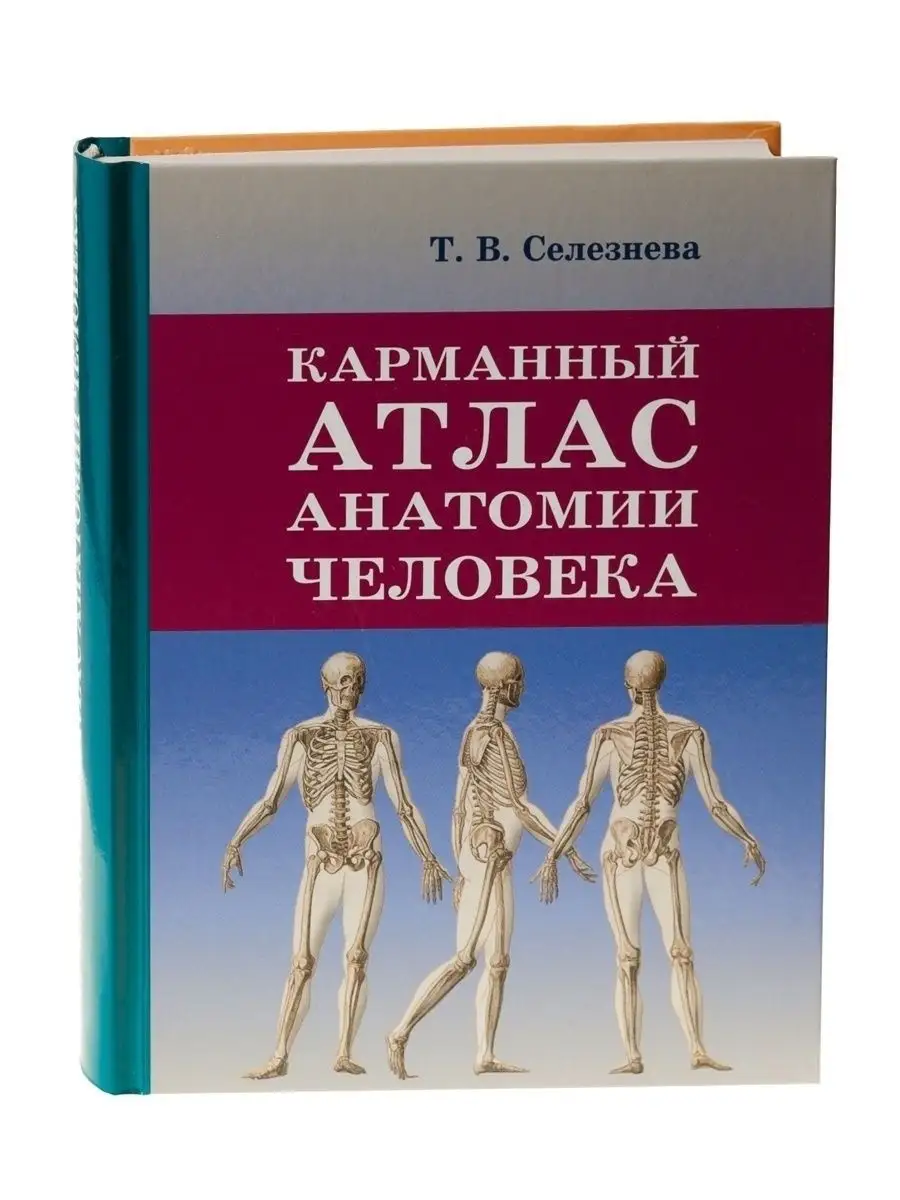 Анатомия книги атласы. Атлас анатомии человека. Карманный атлас анатомии человека. Атлас человека по анатомии. Анатомия человека книга.