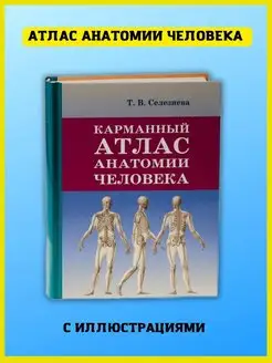 Карманный атлас анатомии человека. Справочник медика