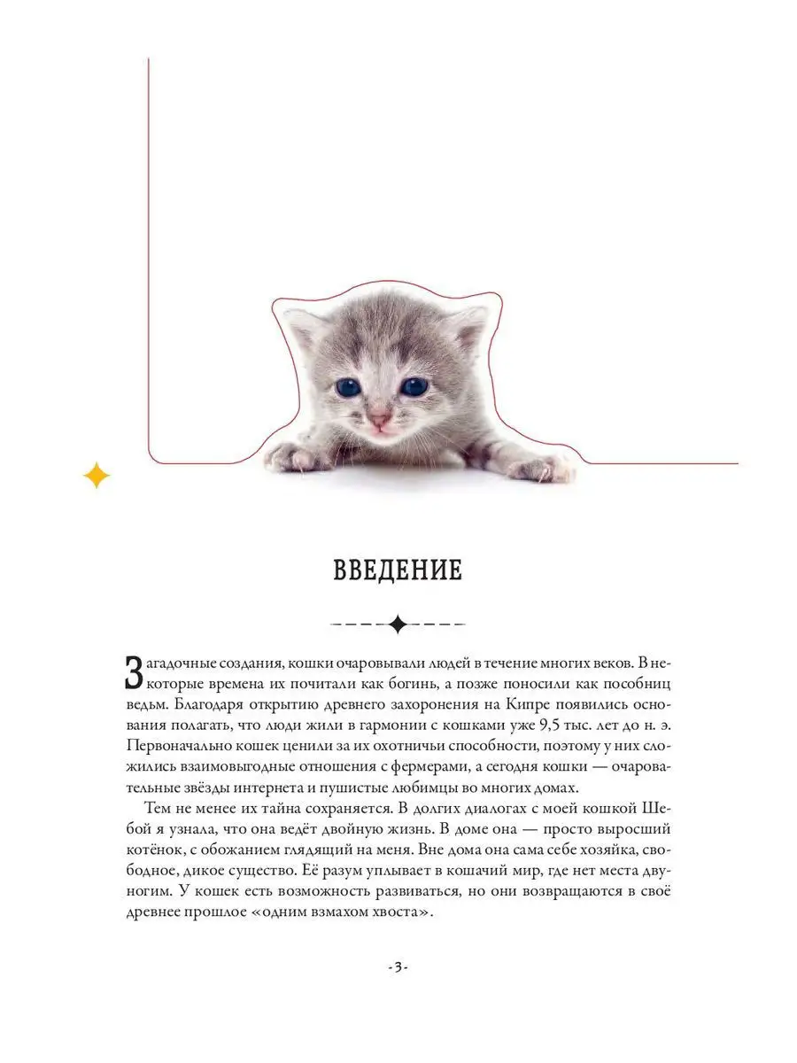 Взаимоотношения взаимовыгодные отношения, взаимоприятные!